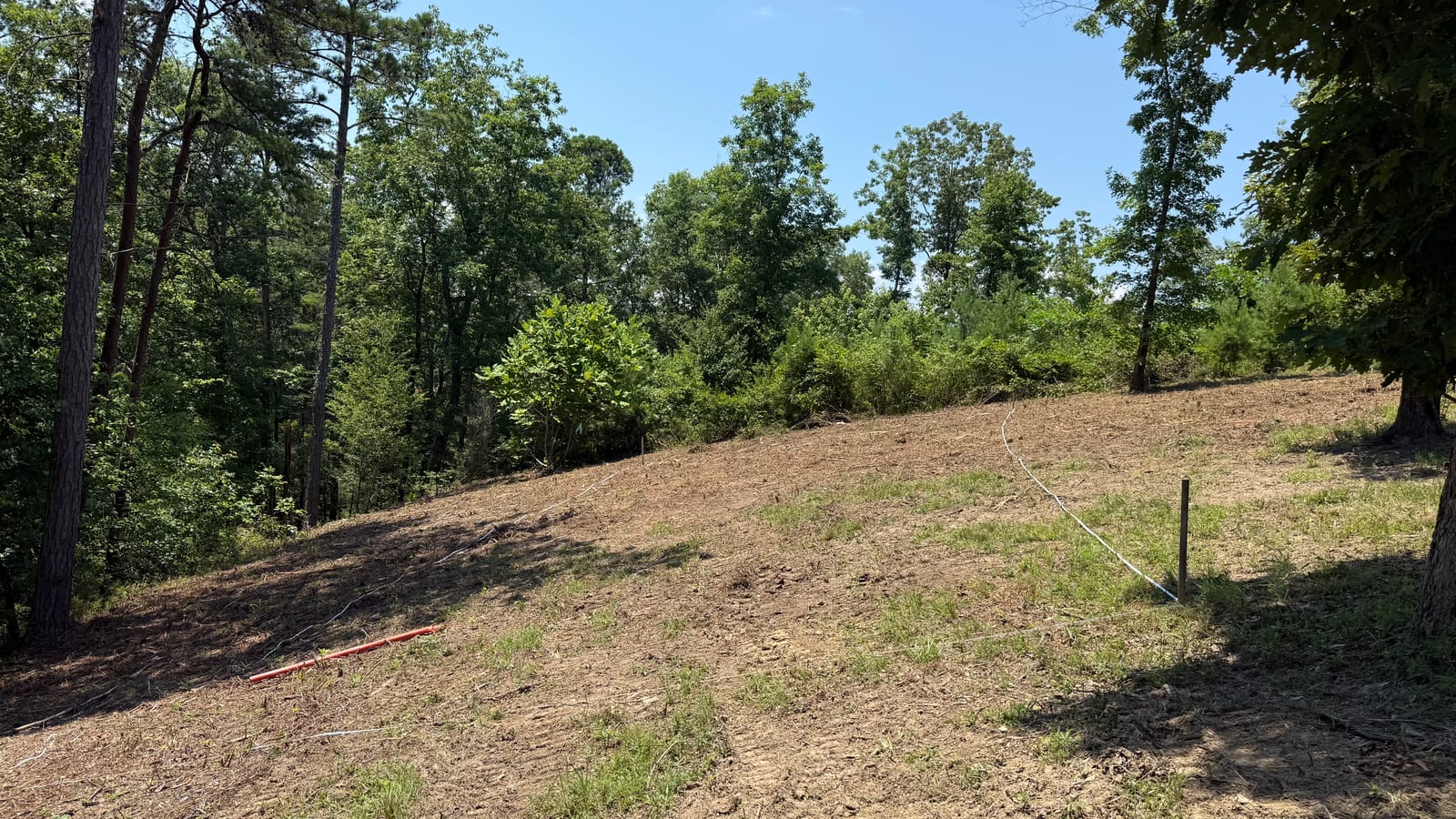 The cleared slope with a survey line run across it